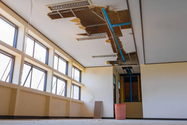 Best Water damage restoration near me  in Maysville, MO