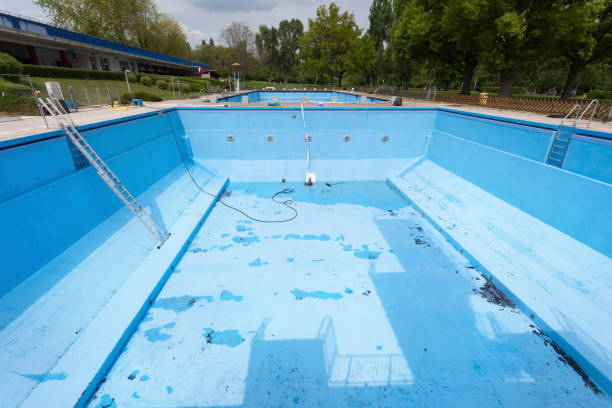 Best Flood damage cleanup  in Maysville, MO