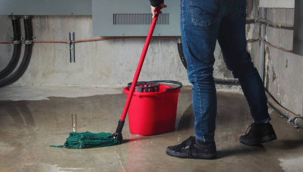 Best 24/7 water damage repair  in Maysville, MO