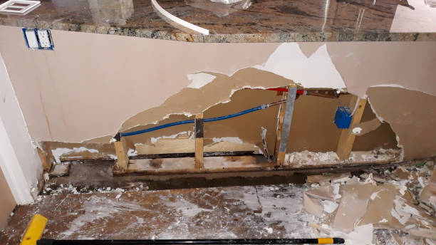 Best Professional water damage repair  in Maysville, MO