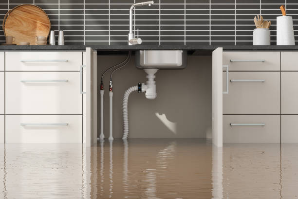 Best Water damage cleanup near me  in Maysville, MO