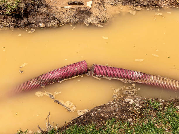 Best Local water damage restoration  in Maysville, MO